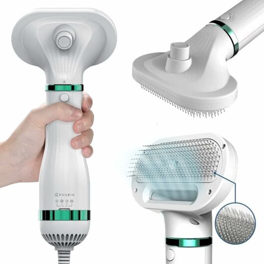 Dog and Cat Hair Dryer with 2-in-1 Smoothing Brush Portable and Quiet Blower Hair Dryer for Grooming Adjustable Temperature Professional Dryer Dogs &