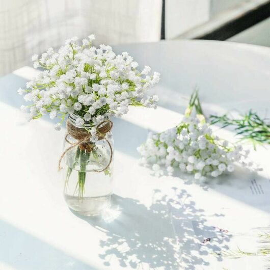 Hoopzi - Babies Breath Flowers Artificial Fake Gypsophila diy Flower Bouquets Wedding Arrangement Home Decor 8pcs